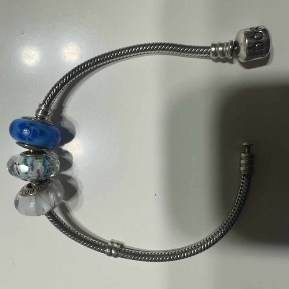 Pandora snake bracelet with charms